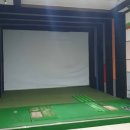 골프존 버디 스크린 이미지