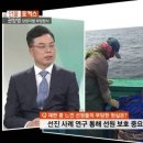 포커스영상