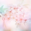 평화경희한의원 이미지