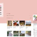 부산관광안내소 이미지