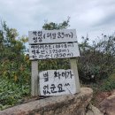 쑥섬이야기