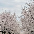 덕풍천서로 이미지