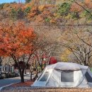 벽계관광지(내) 이미지