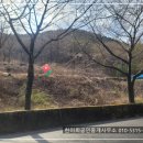 경남고성부동산 - 대가면 국유지 임야(28041제곱미터) 활용 가능한 자연인토지매매 982제곱미터 (297) 이미지