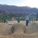 이제신선생 신도비 Daum카페