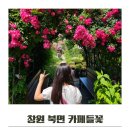 창원 카페들꽃 정원이 예쁜 북면카페 추천