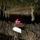 제주 벨섬 시간 할인 정보 내돈내산 후기 서귀포 표선 야간관광명소