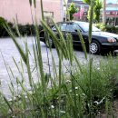 푸른소아청소년과의원 이미지