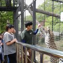 청주랜드관리사업소(동물원) 이미지