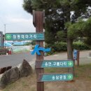 탑동 테마거리 이미지