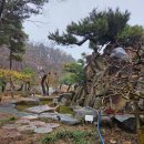탐하국수가