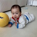 [육아일기] 9개월 아기 발달 기록, 장난감 배밀이 문센 카페 가기
