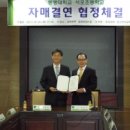 자매식품 이미지