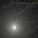 강원도집 다사점 이미지