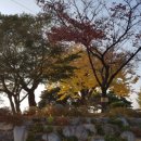 백세민박 이미지