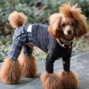 스타일나개 이미지