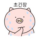 오봉카츠