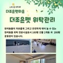 자연속의 펫 이미지