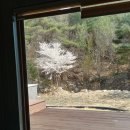 청호제하늘 이미지