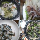 충북 영동 노고산 마니산 사자머리봉 시루봉 종주 -봄꽃산행-
