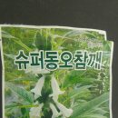동오슈퍼 이미지