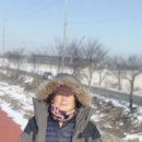 팽성대교길 이미지