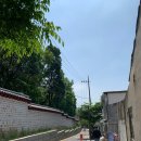서순라길 티스토리