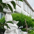 요셉의원 이미지