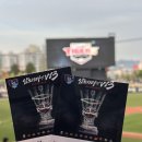 광주 기아챔피언스필드 중앙테이블석 J9열 직관 및 주디마리 팝업 후기