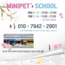 미니펫스쿨(Minipet School) 이미지