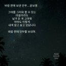풀향 이미지