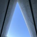 펫 뮤지엄 이미지