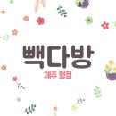 씨유제주월정모살점 이미지