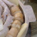 곱창대장 이미지