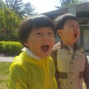 사랑해어린이집 이미지