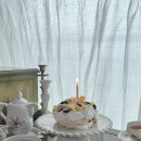 주정차18 | [동래케이크] 부산케이크맛집 하리노 예약 주문 후기 (부산파블로바 맛집)