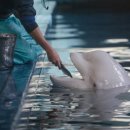 루비빌딩 이미지