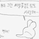 마니모 이미지
