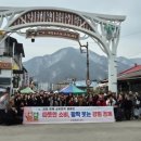 인제 전통시장 이미지