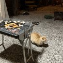 여울카라반