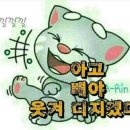 모두모아 이미지