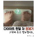 멜팅그릭 | 2달 다이어트 챌린지 #3, 5가지 루틴대로 한 달 후기