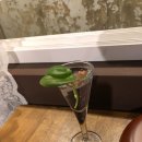브라운코트