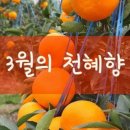과일점빵 이미지