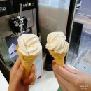 세교근린공원2 | [세교맛집] 세마역 삼겹살 세교본점 방문 솔직후기｜미나리 삼겹살부터 무료 아이스크림까지🍦