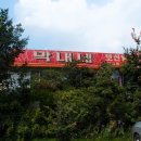 덕소5리 Daum카페