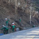 곡성군 산림과 이미지