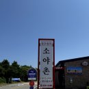 소야촌 | 속초 현지인 찐 맛집 대게보다 소고기 소야촌 후기