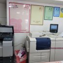 선명복사 이미지