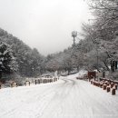 수리산 산림욕장 이미지